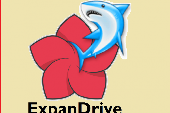 ExpanDrive 2022.8.4 Crack with License Key Latest Version [Win/Mac]